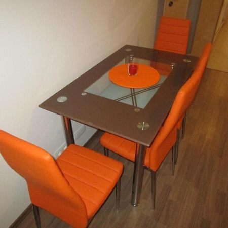 Apartman Ricky V Orlickych Horach Pustiny Zewnętrze zdjęcie