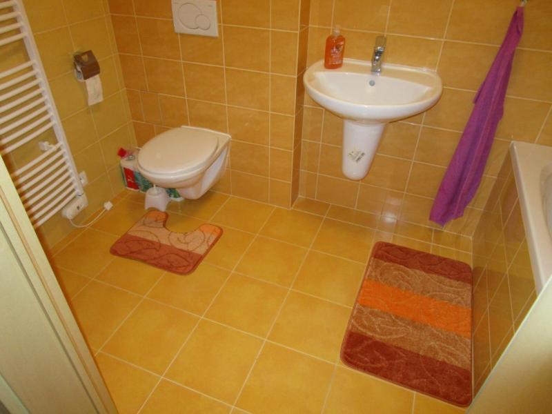 Apartman Ricky V Orlickych Horach Pustiny Zewnętrze zdjęcie