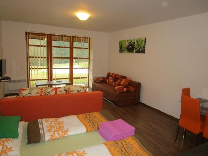 Apartman Ricky V Orlickych Horach Pustiny Zewnętrze zdjęcie