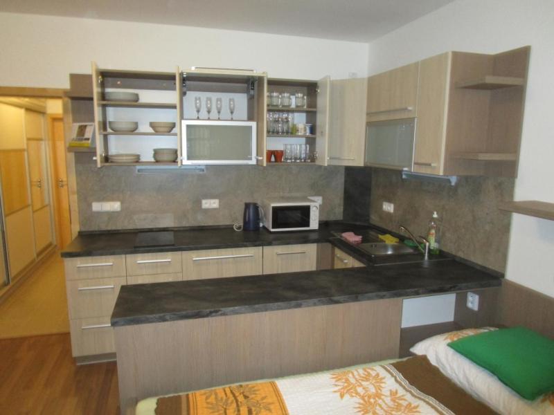 Apartman Ricky V Orlickych Horach Pustiny Zewnętrze zdjęcie