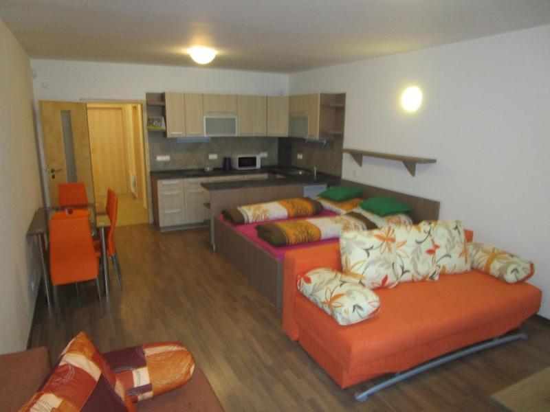 Apartman Ricky V Orlickych Horach Pustiny Zewnętrze zdjęcie