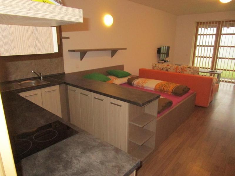 Apartman Ricky V Orlickych Horach Pustiny Zewnętrze zdjęcie