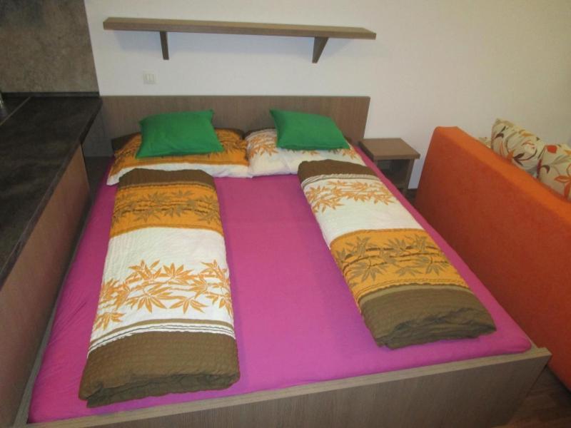 Apartman Ricky V Orlickych Horach Pustiny Zewnętrze zdjęcie