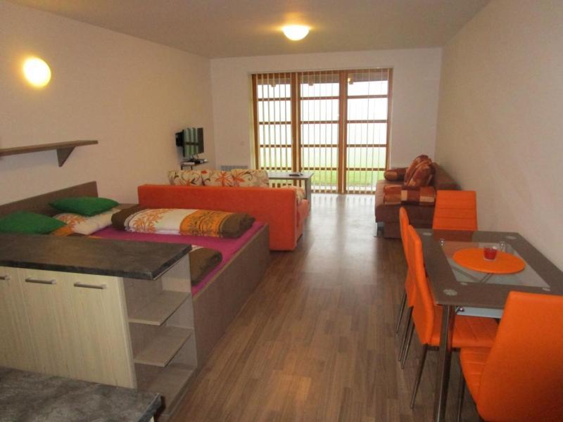 Apartman Ricky V Orlickych Horach Pustiny Zewnętrze zdjęcie