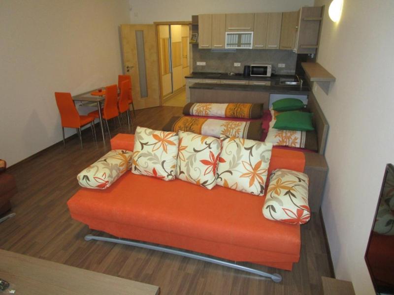 Apartman Ricky V Orlickych Horach Pustiny Zewnętrze zdjęcie